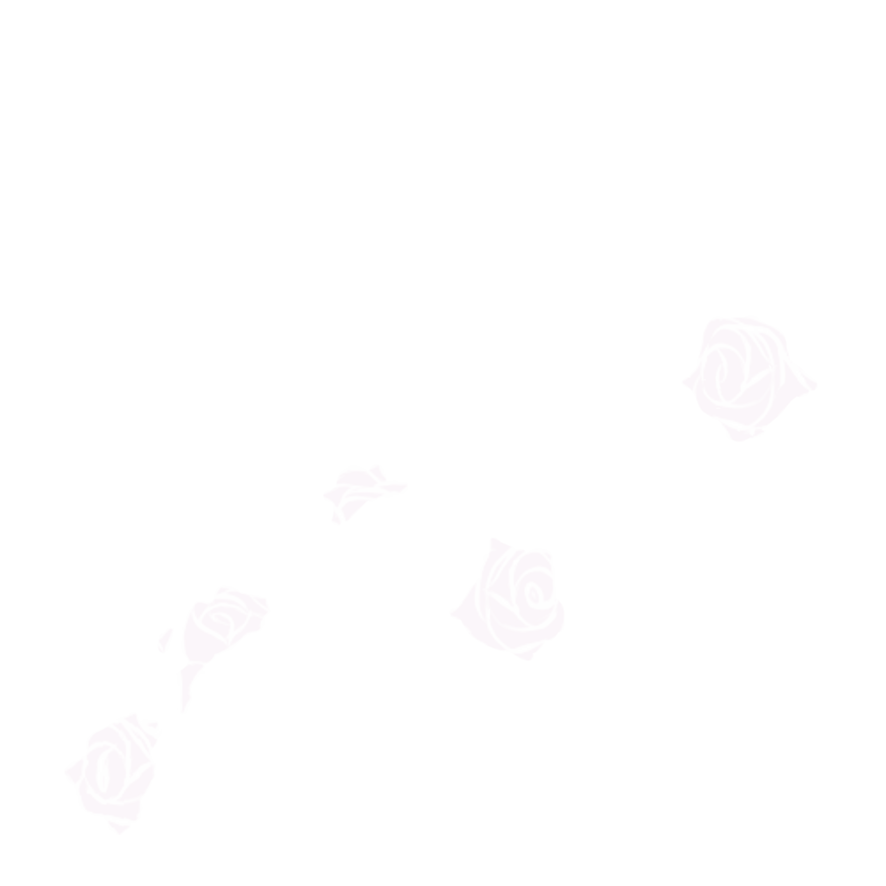 Illustration by the designer of a skull